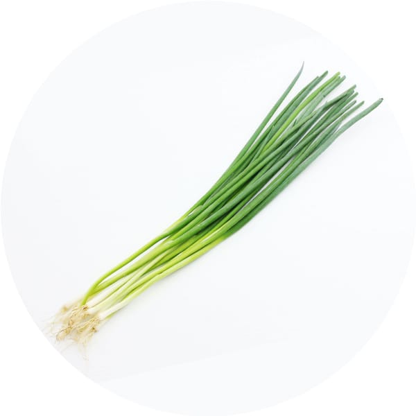 葉ねぎ