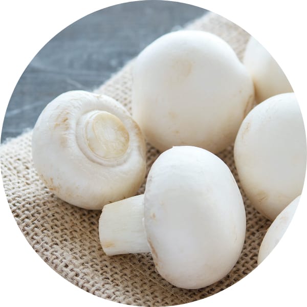 マッシュルーム